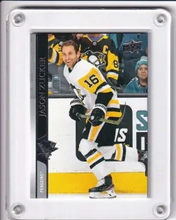 Zucker Jason Upper Deck 2020-21 č.145