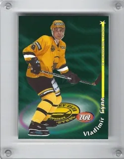 Gýna Vladimír OFS 1998-99  č.262