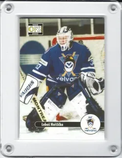 Hořčička Luboš OFS   1999-00  č.533
