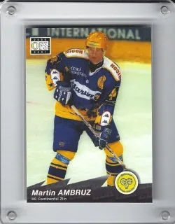 Ambruz Martin OFS 2000-01 č.364