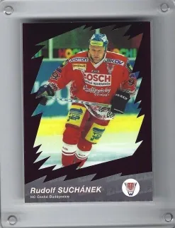 Suchánek Rudolf OFS 2000-01 Star ELH Fialová č.14