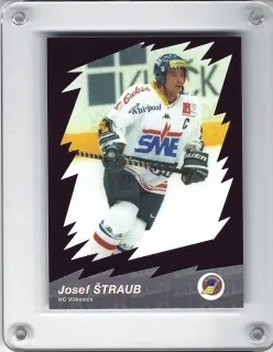 Štraub Josef OFS 2000-01 Star ELH Fialová č.28