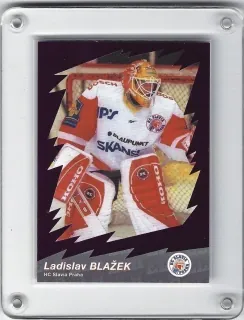 Blažek Vladislav OFS 2000-01 Star ELH Fialová č.35