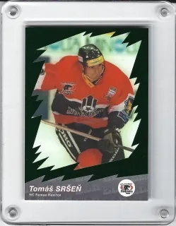 Sršeň Tomáš OFS 2000-01 Star ELH Zelená č.31