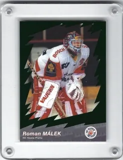Málek Roman OFS 2000-01 Star ELH Zelená č.36