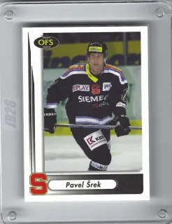 Šrek Pavel OFS 2001-02  č.29