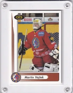 Vojtek Martin OFS 2001-02  č.130