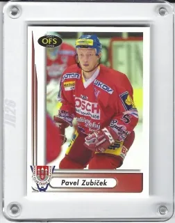 Zubíček Pavel OFS 2001-02  č.134