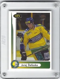 Štefanka Juraj OFS 2001-02  č.211
