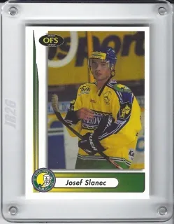 Slanec Josef OFS 2001-02  č.213