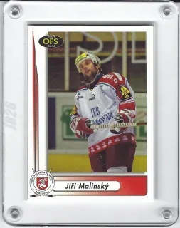 Malinský Jiří OFS 2001-02  č.224