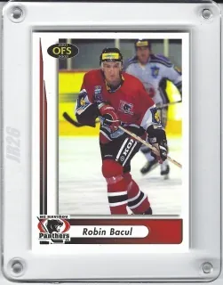 Bacul Robin OFS 2001-02  č.234