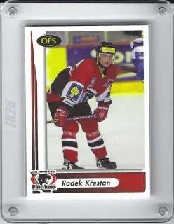 Křesťan Radek OFS 2001-02  č.238
