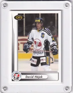Hájek David OFS 2001-02  č.267