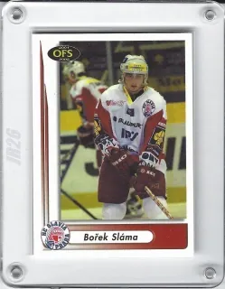 Sláma Bořek OFS 2001-02  č.272