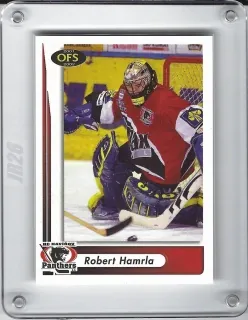 Hamrla Robert OFS 2001-02  č.293
