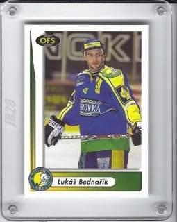 Bednařík Lukáš OFS 2001-02  č.302