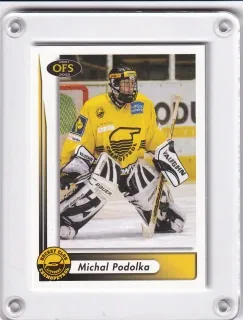 Podolka Michal OFS 2001-02  č.304