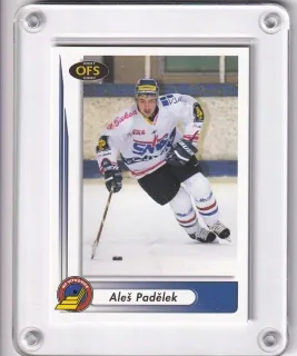 Padělek Aleš OFS 2001-02  č.315