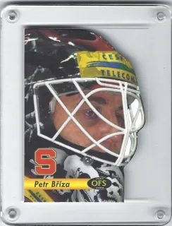 Bříza Petr OFS 2001-02 Maska č.H-15