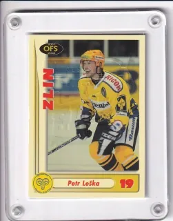 Leška Petr OFS 2001-02 RE-žlutá č.RE17D