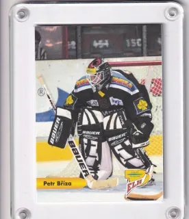 Bříza Petr OFS 2001-02 Seznam karet č.seznam-11