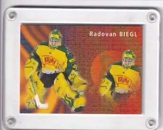 Biegl Radovan OFS Plus 2003-04 Branky č.B-10