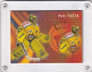 Tuček Petr OFS Plus 2003-04 Branky č.B-11