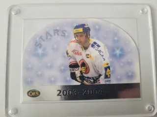 Padělek Ivan OFS Plus 2003-04 Stars - Stříbrná č.Ms-22