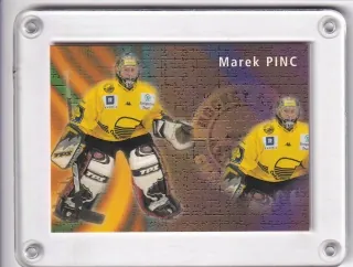 Pinc Marek OFS Plus 2003-04 Průměr č.P-05