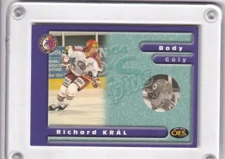 Král Richard OFS Plus 2003-04 Insert S - Body č.S-01