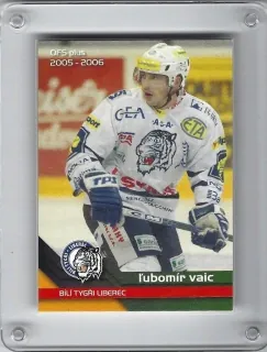 Vaic Lubomír OFS 2005-06 Řadovka č.20
