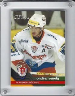 Veselý Ondřej OFS 2005-06 Řadovka č.305