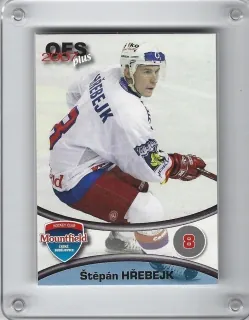 Hřebejk Štěpán OFS 2006-07  č.4