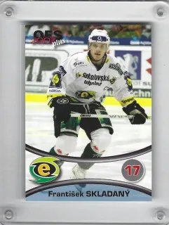 Skladaný František OFS 2006-07  č.41