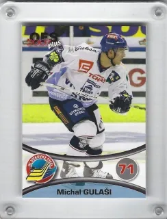 Gulaši Michal OFS 2006-07  č.47