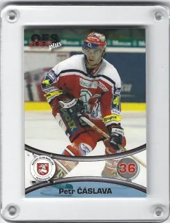 Čáslava Petr OFS 2006-07  č.113