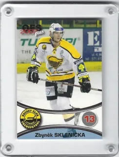 Sklenička Zbyněk OFS 2006-07  č.146