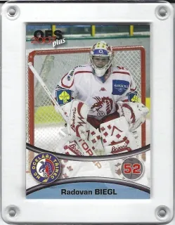 Biegl Radovan  OFS 2006-07  č.152