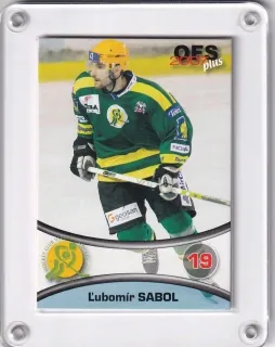 Sabol L´ubomír OFS 2006-07  č.188