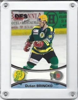 Brincko Dušan OFS 2006-07  č.196
