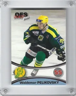 Pelikovský Waldemar OFS 2006-07  č.197