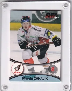 Čakajík Martin OFS 2006-07  č.200
