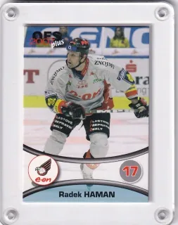 Haman Radek OFS 2006-07  č.203