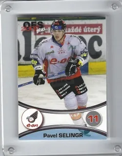 Selingr Pavel OFS 2006-07  č.213