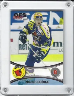 Lučka Martin OFS 2006-07  č.231