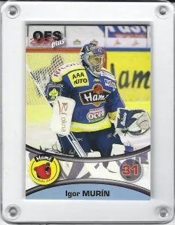 Murín Igor  OFS 2006-07  č.235