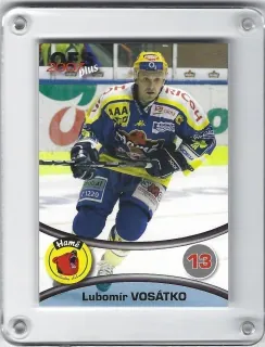 Vosátko Lubomír OFS 2006-07  č.244