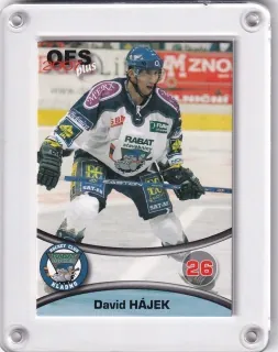 Hájek David OFS 2006-07  č.253