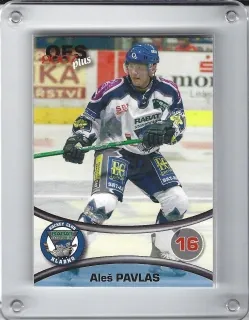Pavlas Aleš OFS 2006-07  č.263